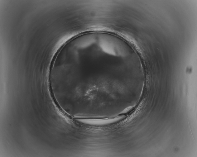 X0000098231231200805011250