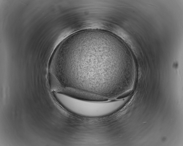 X0000098231234200805011250