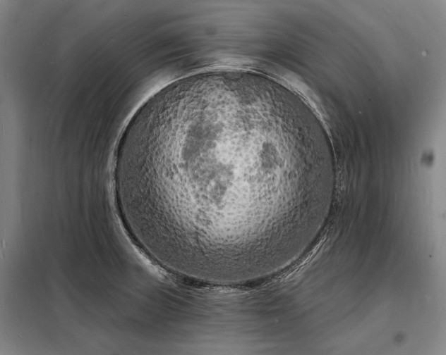 X0000098231235200805011250