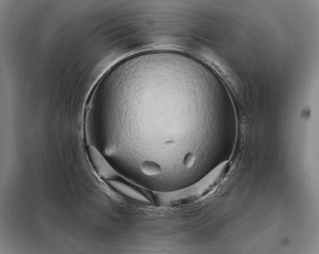 X0000098231236200805011250