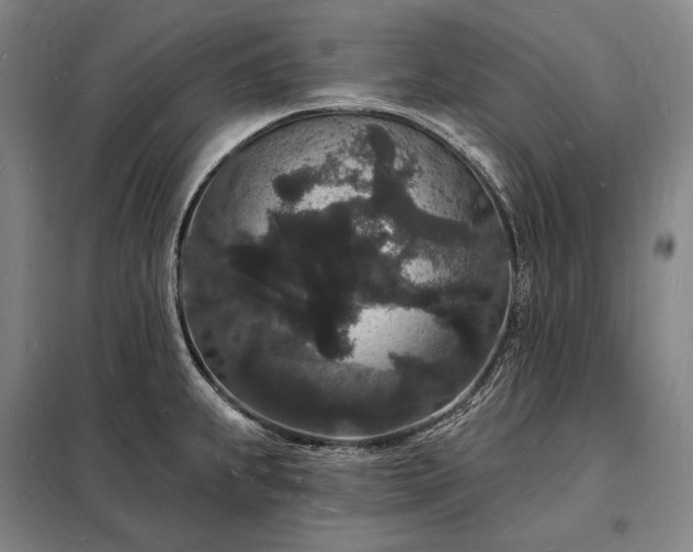 X0000098231239200805011250