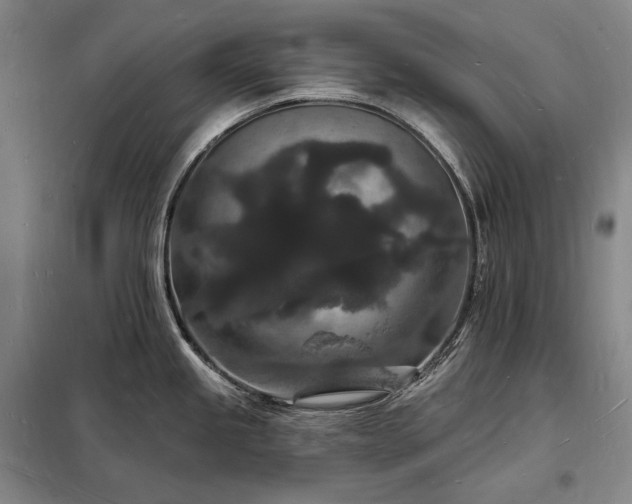 X0000098231245200805011250