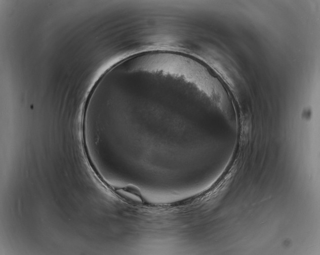 X0000098231246200805011250