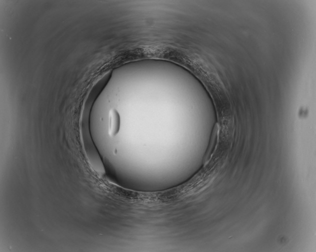 X0000098231249200805011250