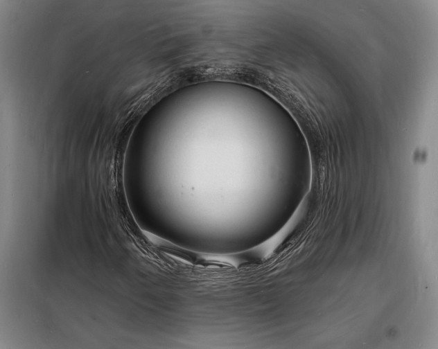 X0000098231250200805011250