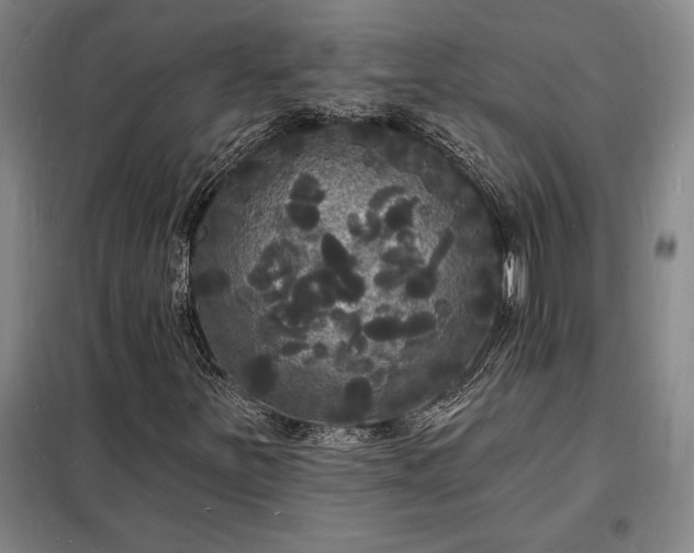 X0000098231251200805011250