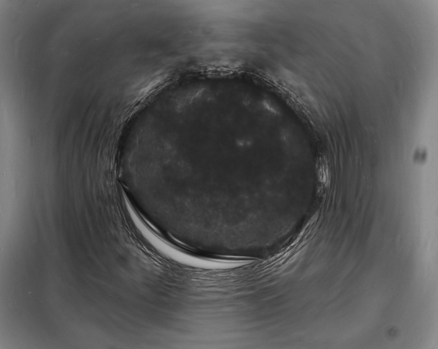 X0000098231252200805011250