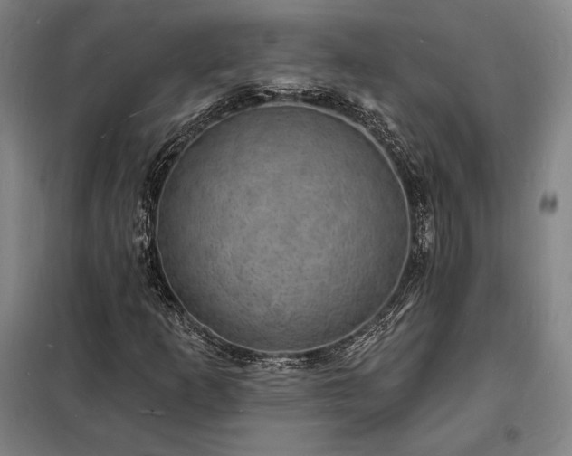 X0000098231253200805011250