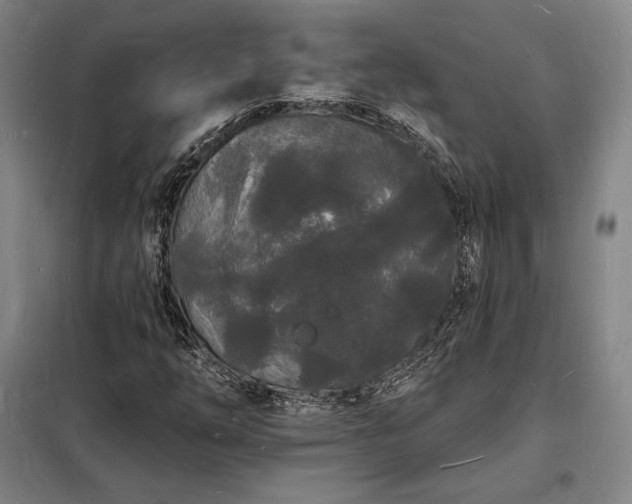X0000098231254200805011250