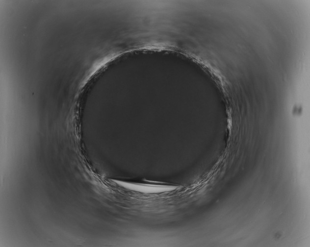 X0000098231256200805011249