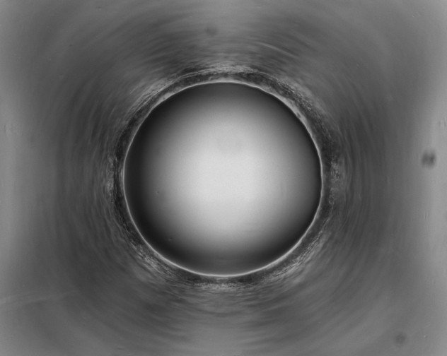 X0000098231257200805011249