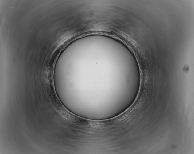 X0000098231258200805011249