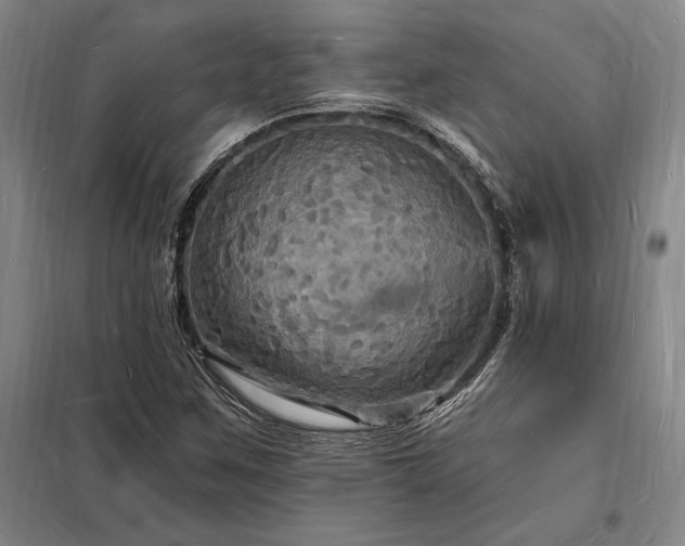 X0000098231259200805011249