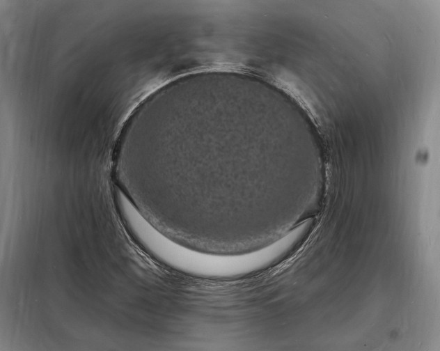 X0000098231260200805011249