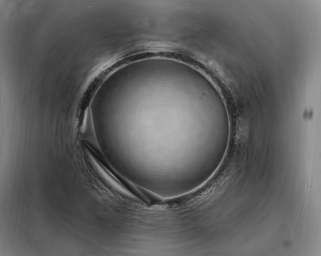 X0000098231261200805011249
