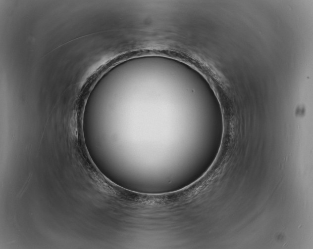X0000098231262200805011249