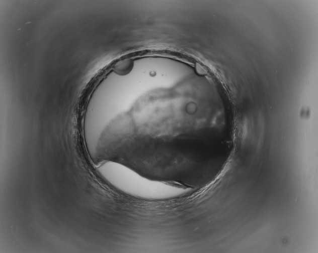 X0000098231263200805011249