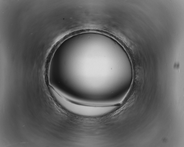 X0000098231264200805011249