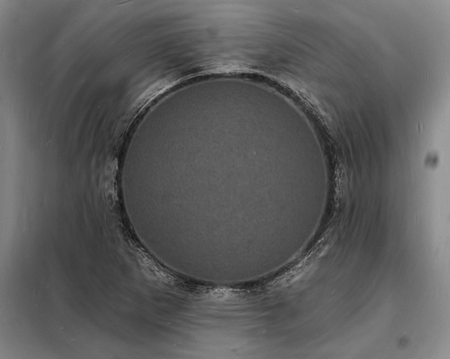 X0000098231265200805011249