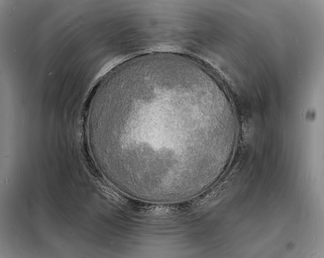 X0000098231266200805011249