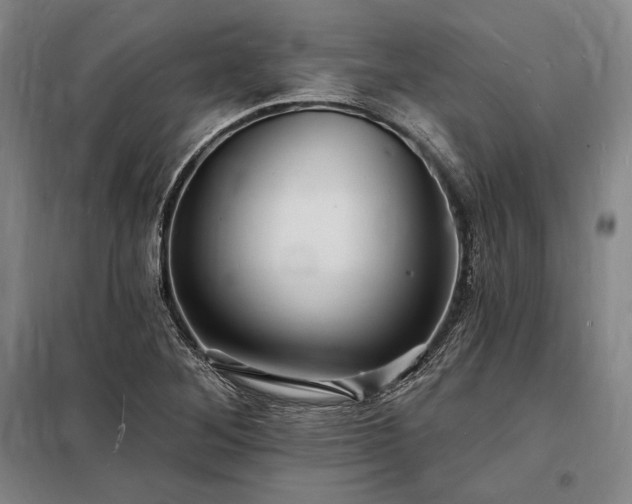 X0000098231268200805011249