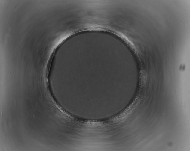 X0000098231269200805011249