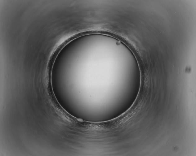 X0000098231270200805011249