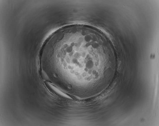 X0000098231271200805011249