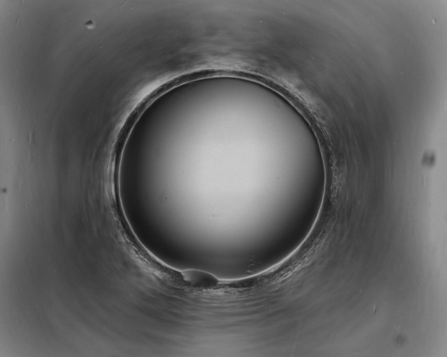 X0000098231272200805011249