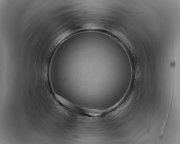 X0000098231273200805011249