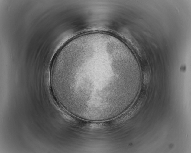 X0000098231274200805011249