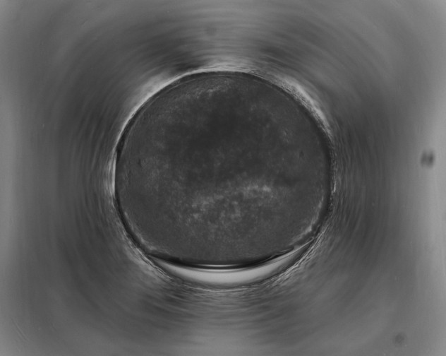X0000098231276200805011249