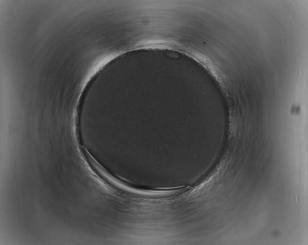 X0000098231277200805011249