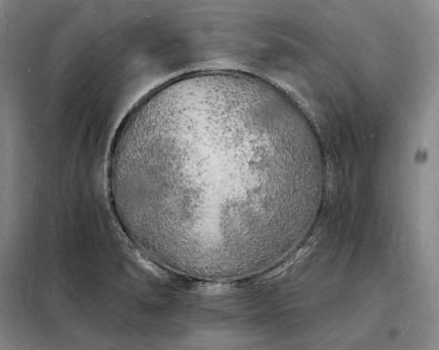 X0000098231278200805011249