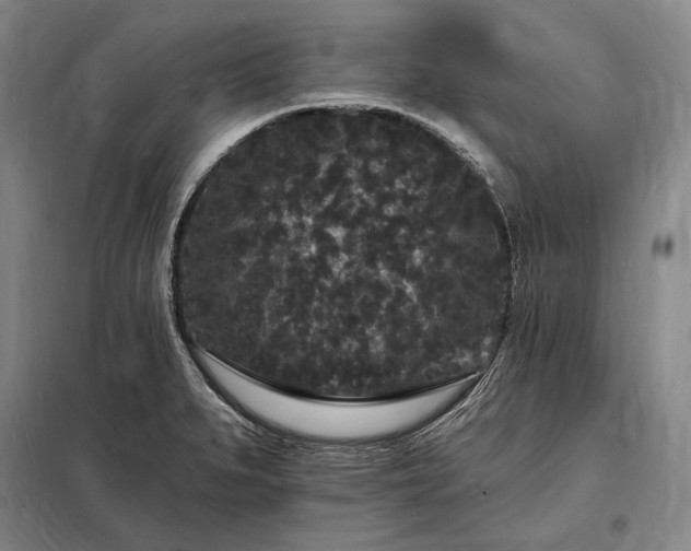 X0000098231279200805011249