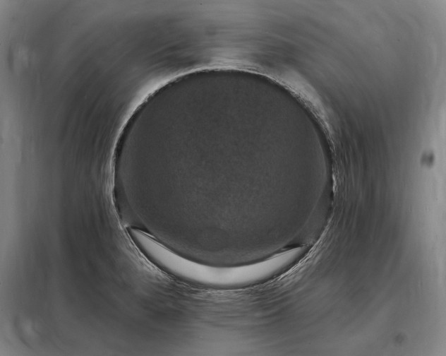 X0000098231280200805011249