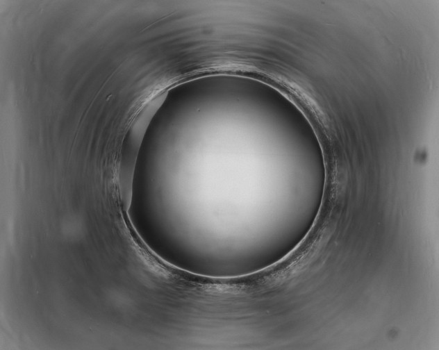X0000098231281200805011249