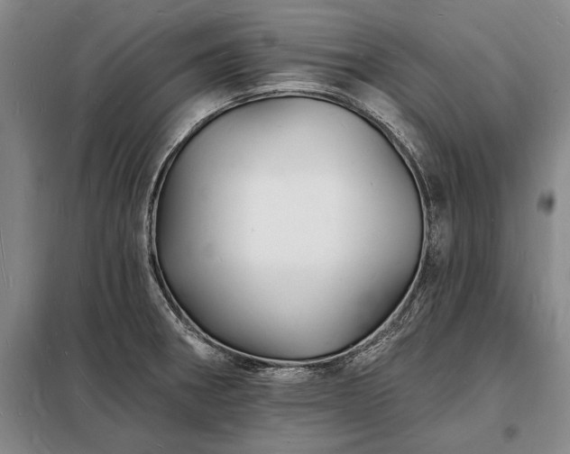 X0000098231282200805011249