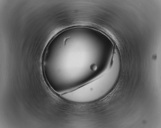 X0000098231283200805011249