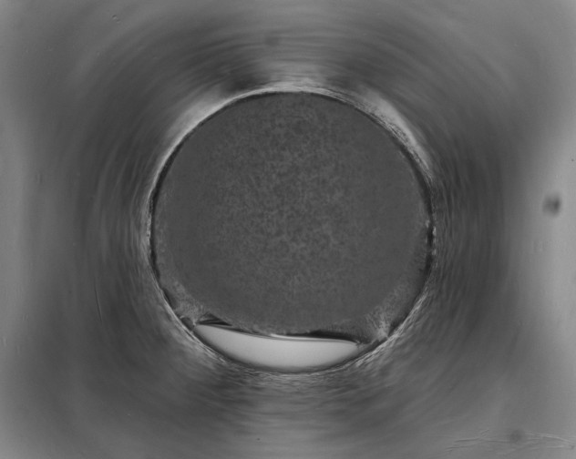 X0000098231284200805011249