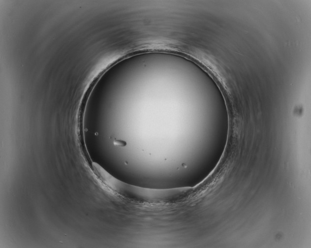 X0000098231285200805011249