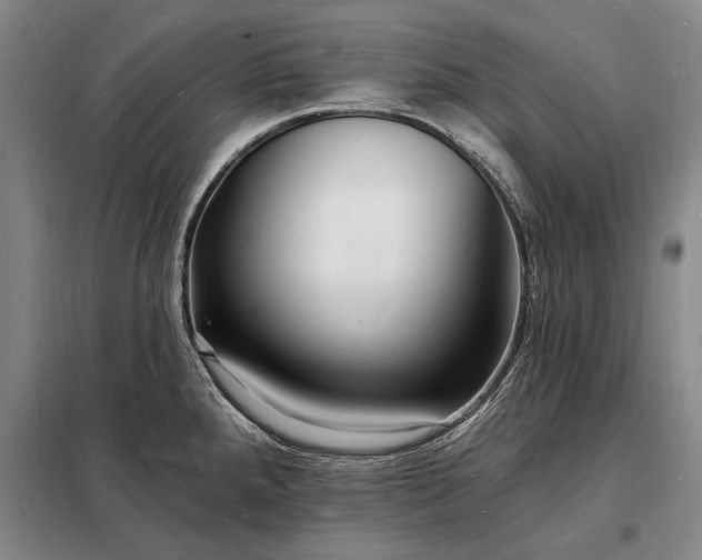 X0000098231288200805011249
