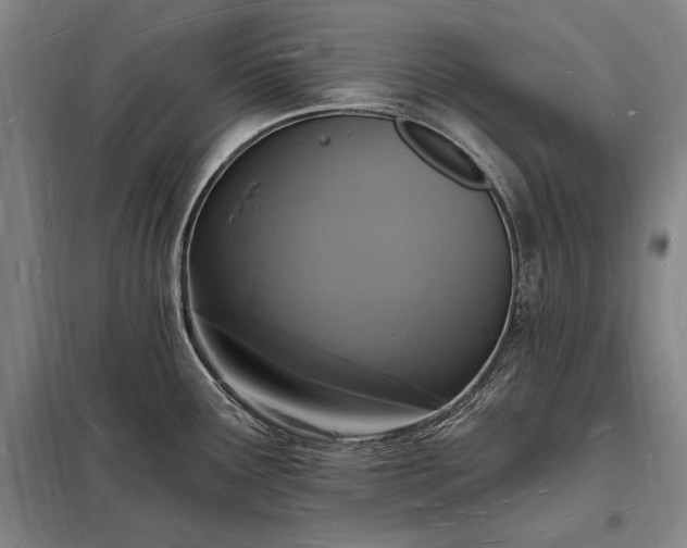 X0000098231291200805011249