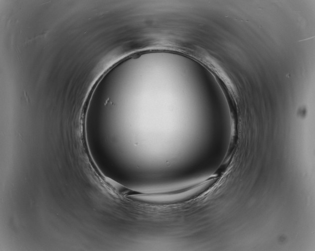 X0000098231292200805011249