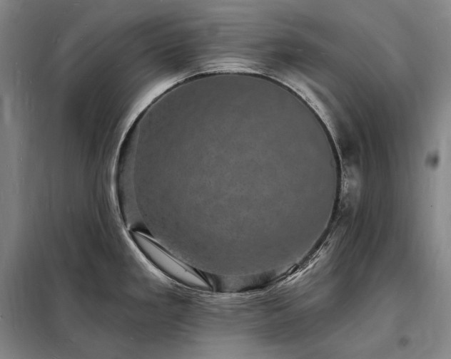 X0000098231293200805011249