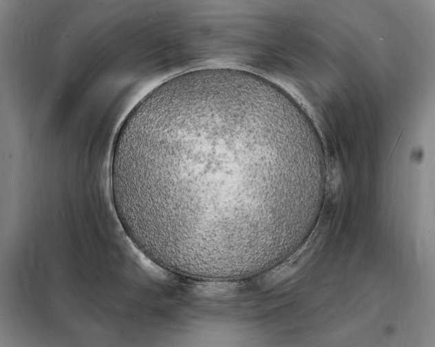 X0000098231294200805011249