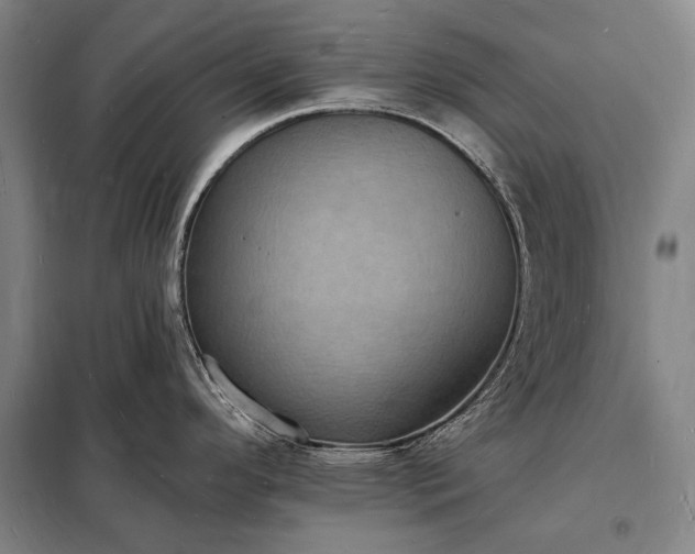 X0000098231296200805011249