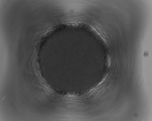 X0000098231297200805011248