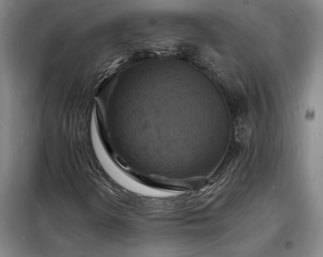 X0000098231298200805011248