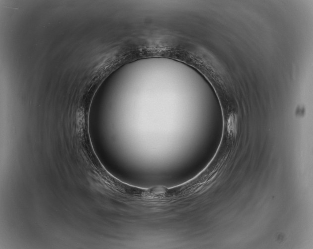 X0000098231299200805011248